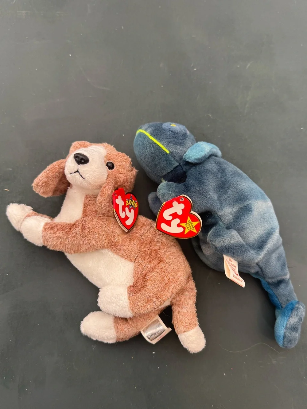 New With Tags TY Beanie Boos - Rainbow Chameleon and Sniffer Dog